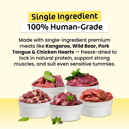 Sensitive Paws Premium Value Bundle (For Kitties)