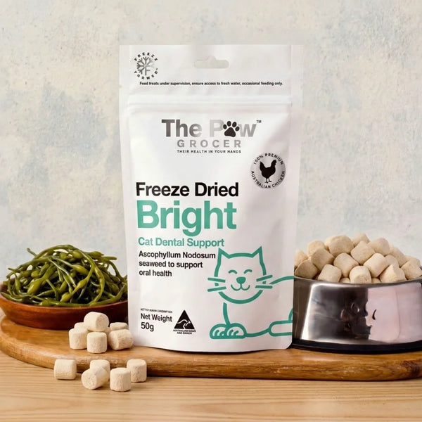 Bright Freeze Dried Treats - Cat Dental Support