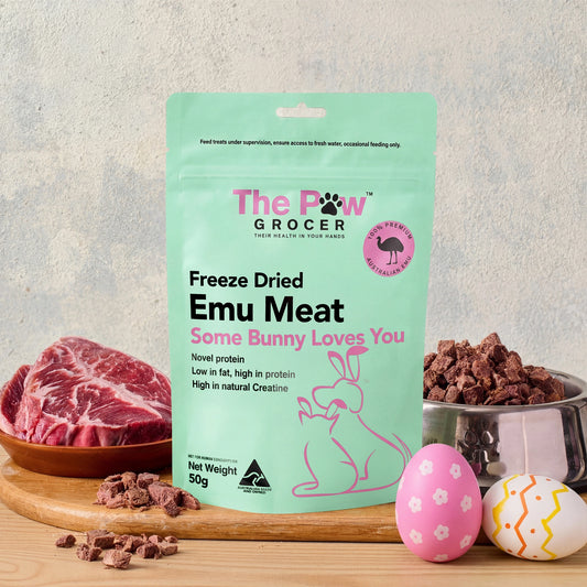 EASTER TREATS FOR KITTIES & DOGGOS