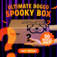 Ultimate Doggo Spooky Box | 50 BOXES ONLY + FREE SHIPPING
