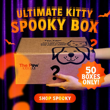 Ultimate Kitty Spooky Box | 50 BOXES ONLY + FREE SHIPPING