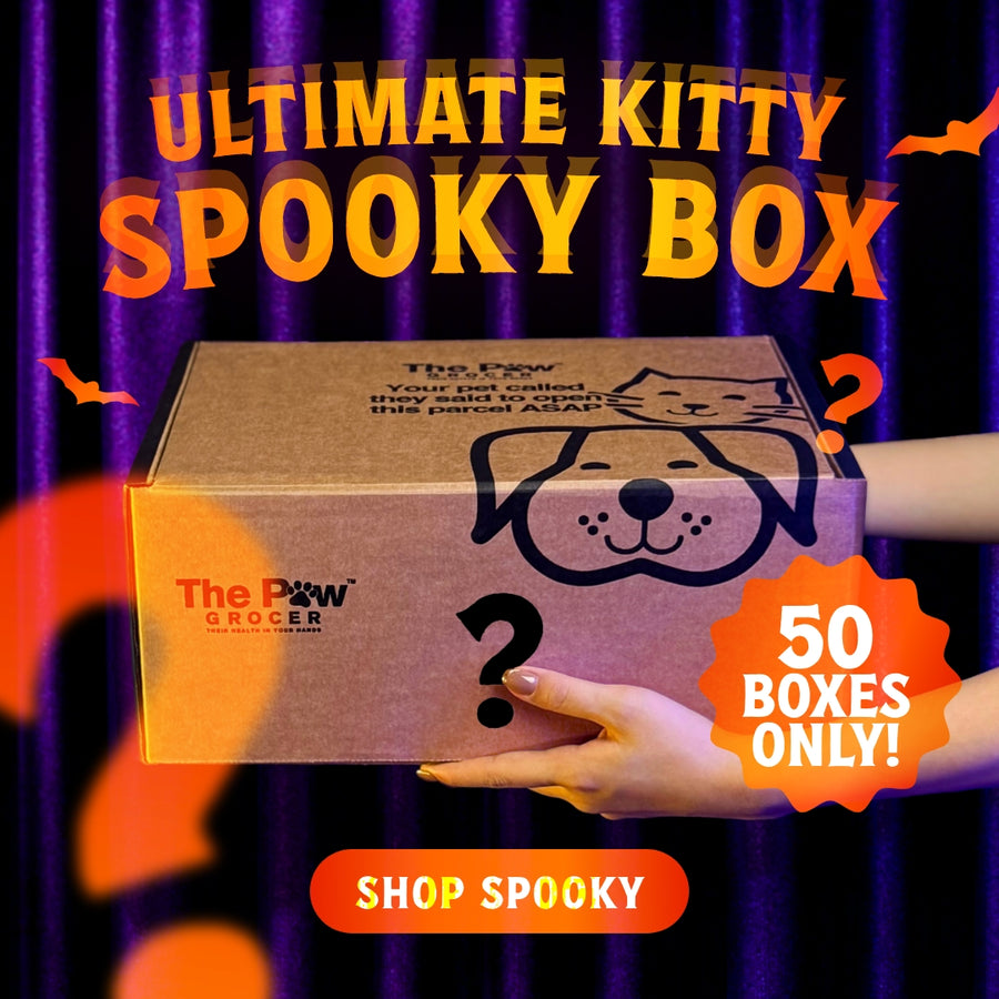 Ultimate Kitty Spooky Box | 50 BOXES ONLY + FREE SHIPPING