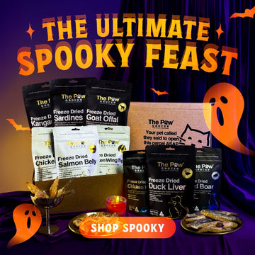 Ultimate Spooky Feast | FREE SHIPPING