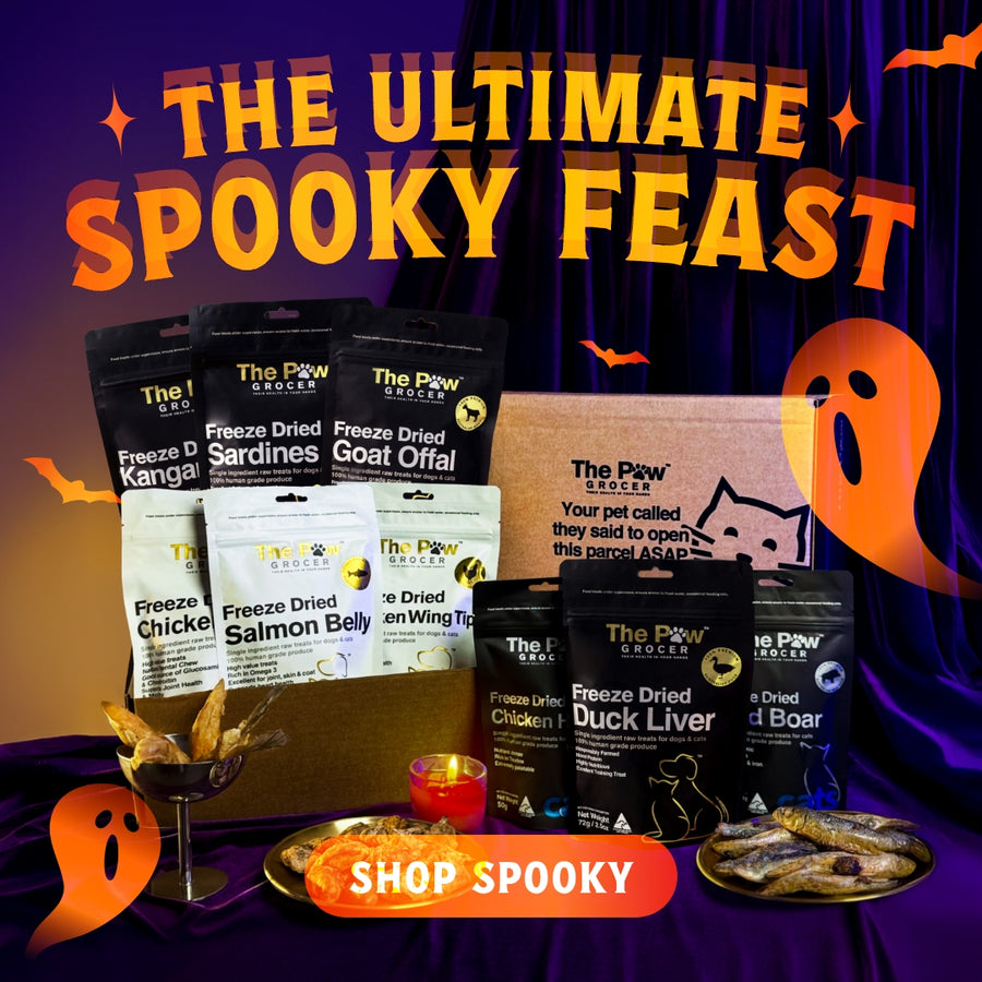 Ultimate Spooky Feast | FREE SHIPPING