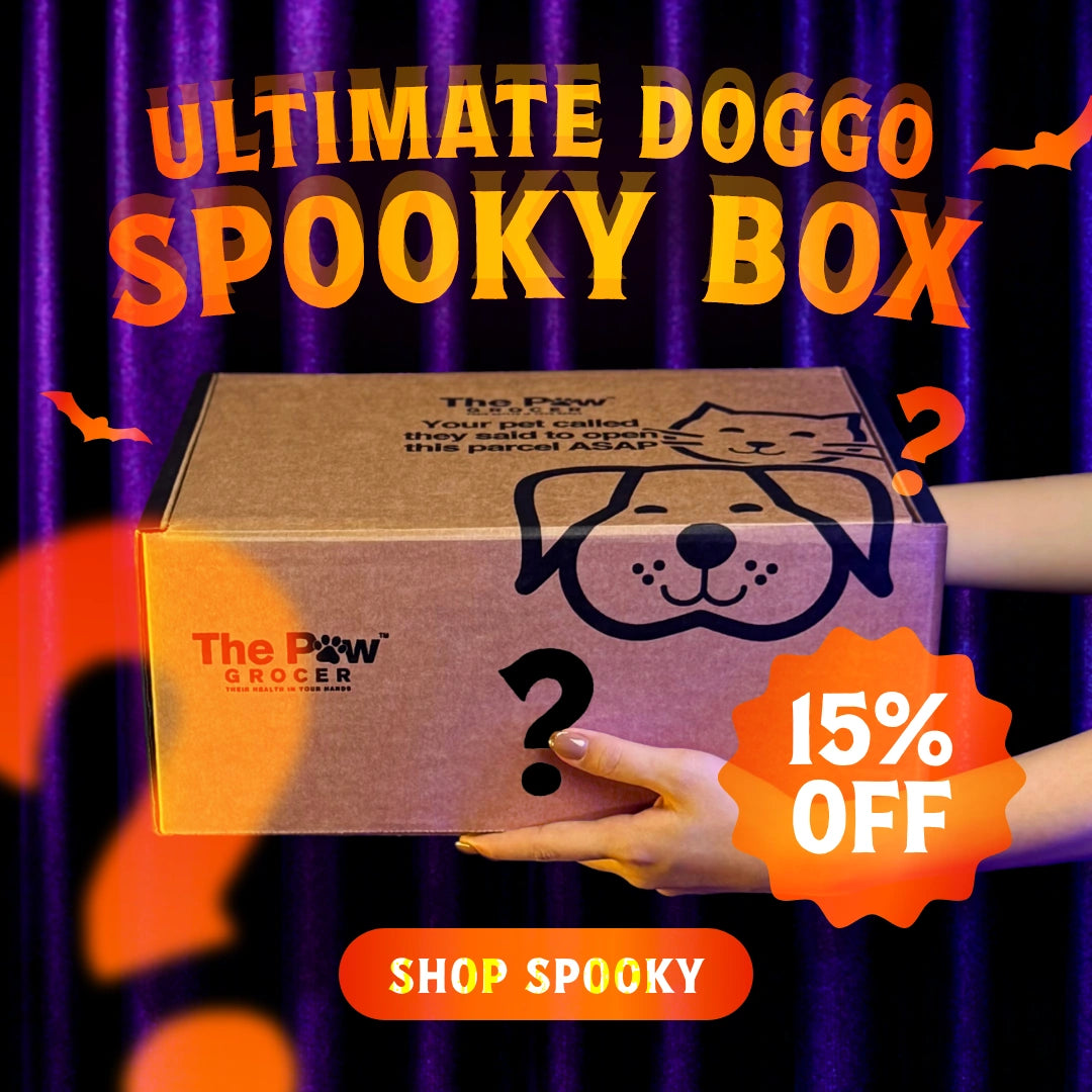 Ultimate Doggo Spooky Box | 50 BOXES ONLY + FREE SHIPPING