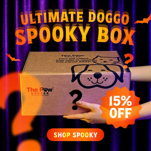 Ultimate Doggo Spooky Box | 50 BOXES ONLY + FREE SHIPPING