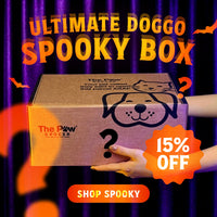 Ultimate Doggo Spooky Box | 50 BOXES ONLY + FREE SHIPPING