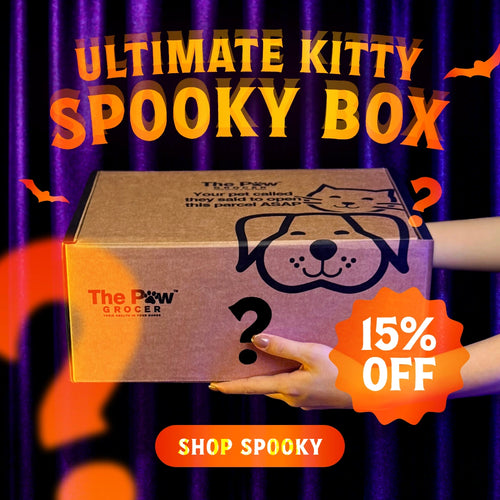 Ultimate Kitty Spooky Box | 50 BOXES ONLY + FREE SHIPPING