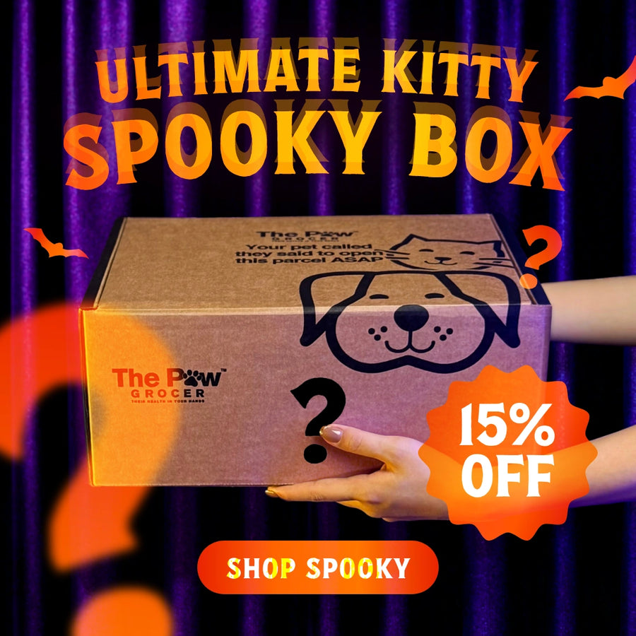 Ultimate Kitty Spooky Box | 50 BOXES ONLY + FREE SHIPPING