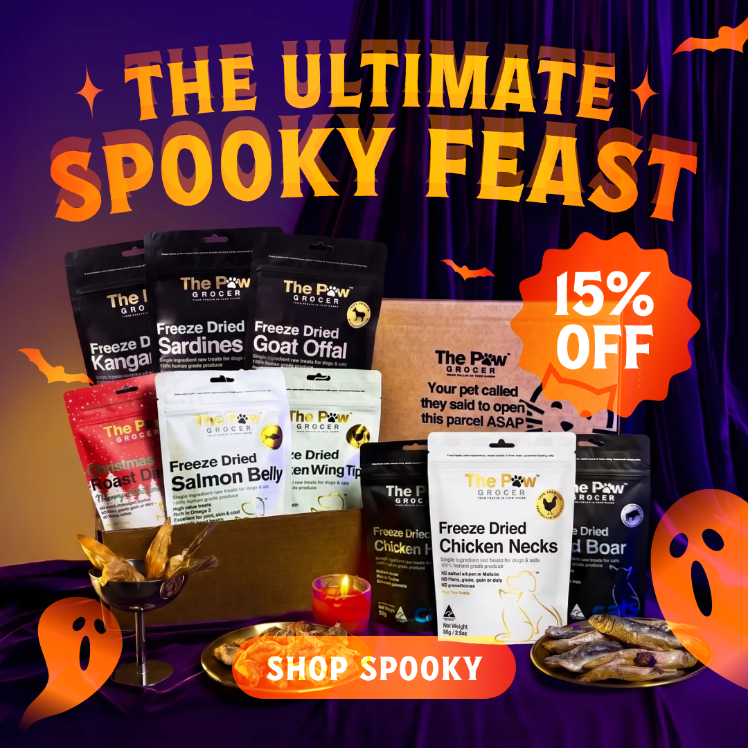 Ultimate Spooky Feast | FREE SHIPPING
