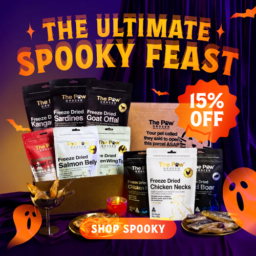 Ultimate Spooky Feast | FREE SHIPPING