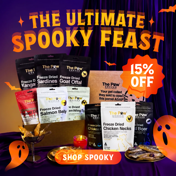 Ultimate Spooky Feast | FREE SHIPPING