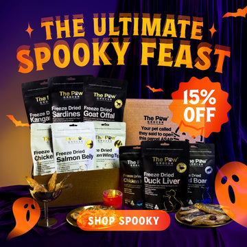Ultimate Spooky Feast | FREE SHIPPING