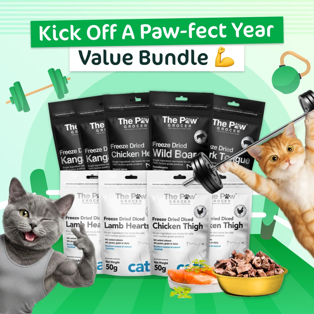 Kitty Kick Off A Paw-fect Year Value Bundle