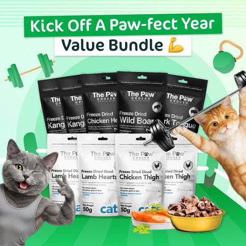 Kitty Kick Off A Paw-fect Year Value Bundle