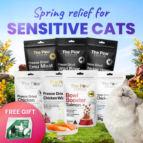 Spring sensitive cat bundle