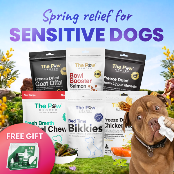 Spring sensitive dog bundle