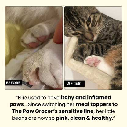 Sensitive Paws Premium Value Bundle (For Kitties)