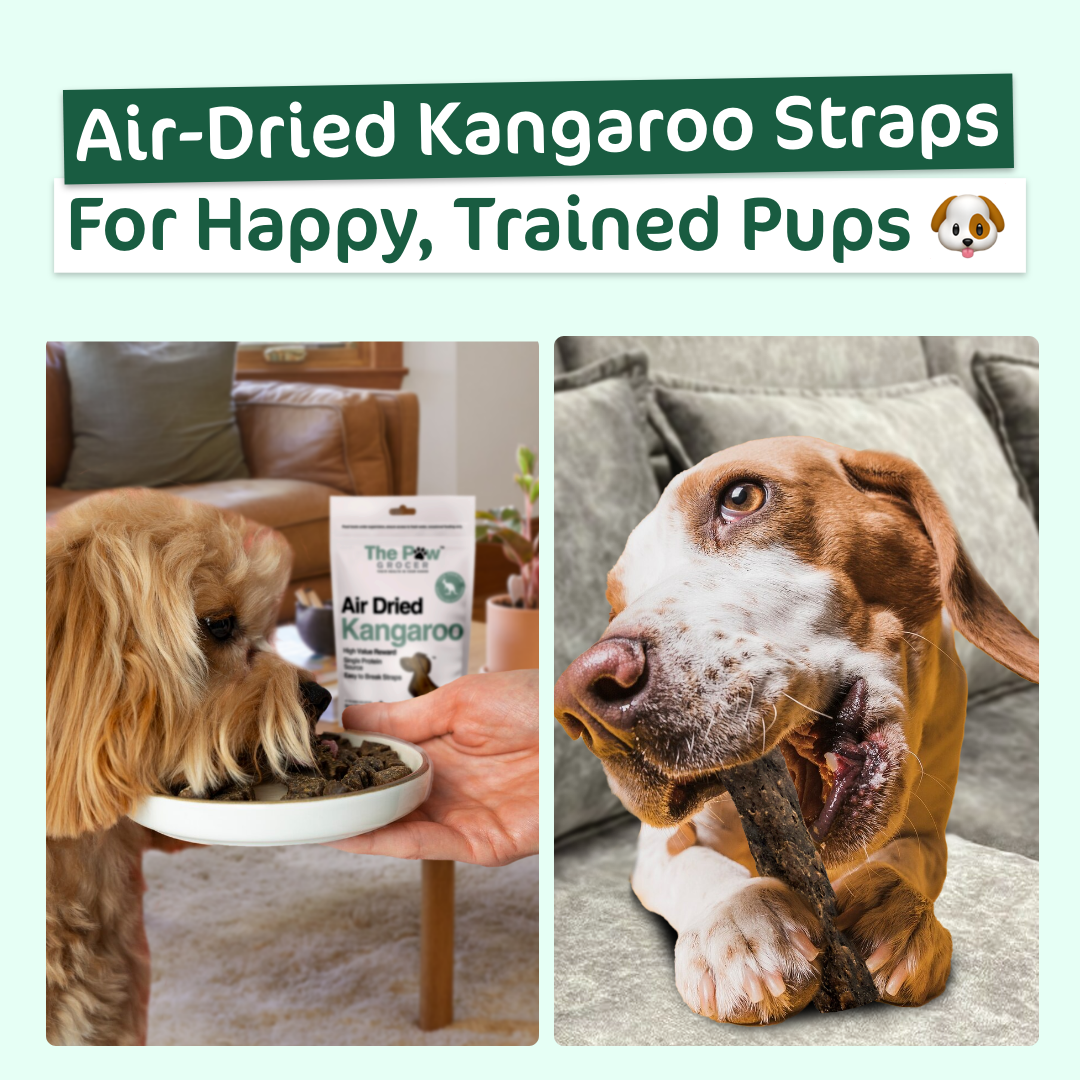 The Paw Grocer Air-Dried Kangaroo for Happy, Trained Pups