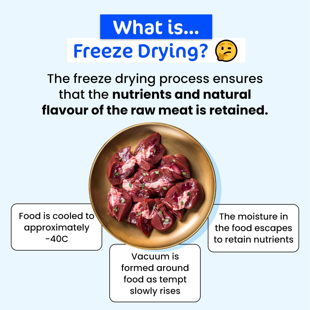 The Paw Grocer Healthy Joint Booster Value Bundle