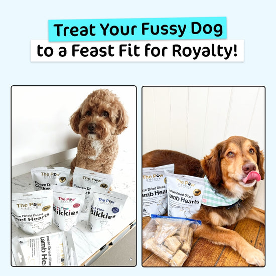 Ultimate Dog Vitality Value Bundle – thepawgrocer