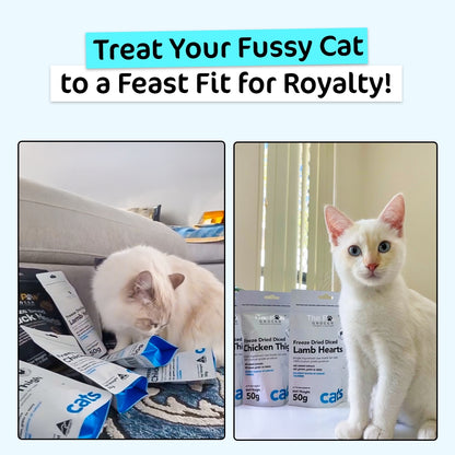 The Paw Grocer Ultimate Fussy Cat Value Bundle