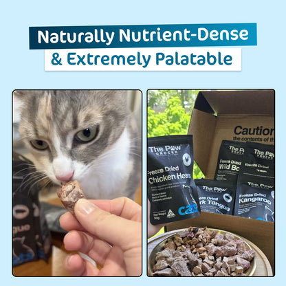 Premium Freeze-Dried Chicken Hearts for Cats - 50g