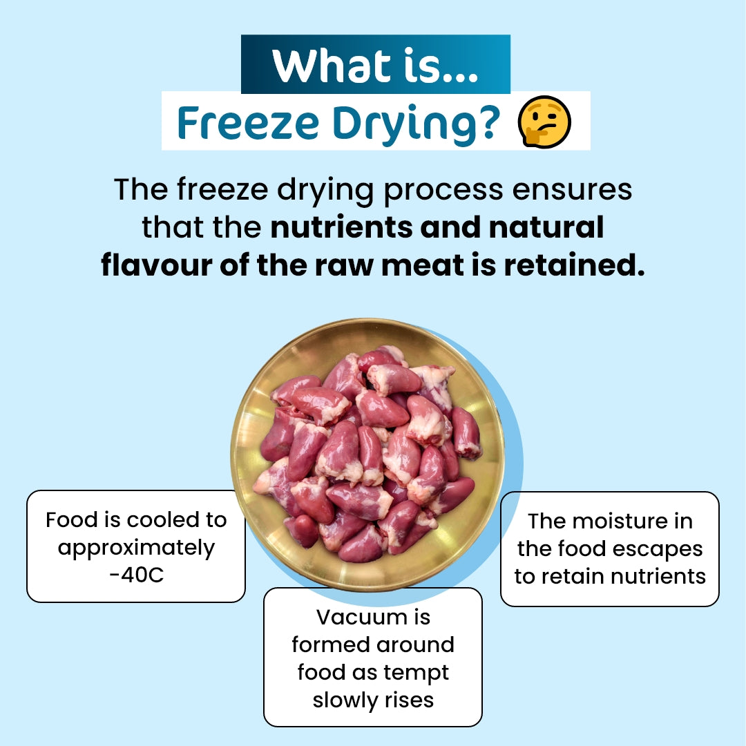 Premium Freeze-Dried Chicken Hearts for Cats - 50g