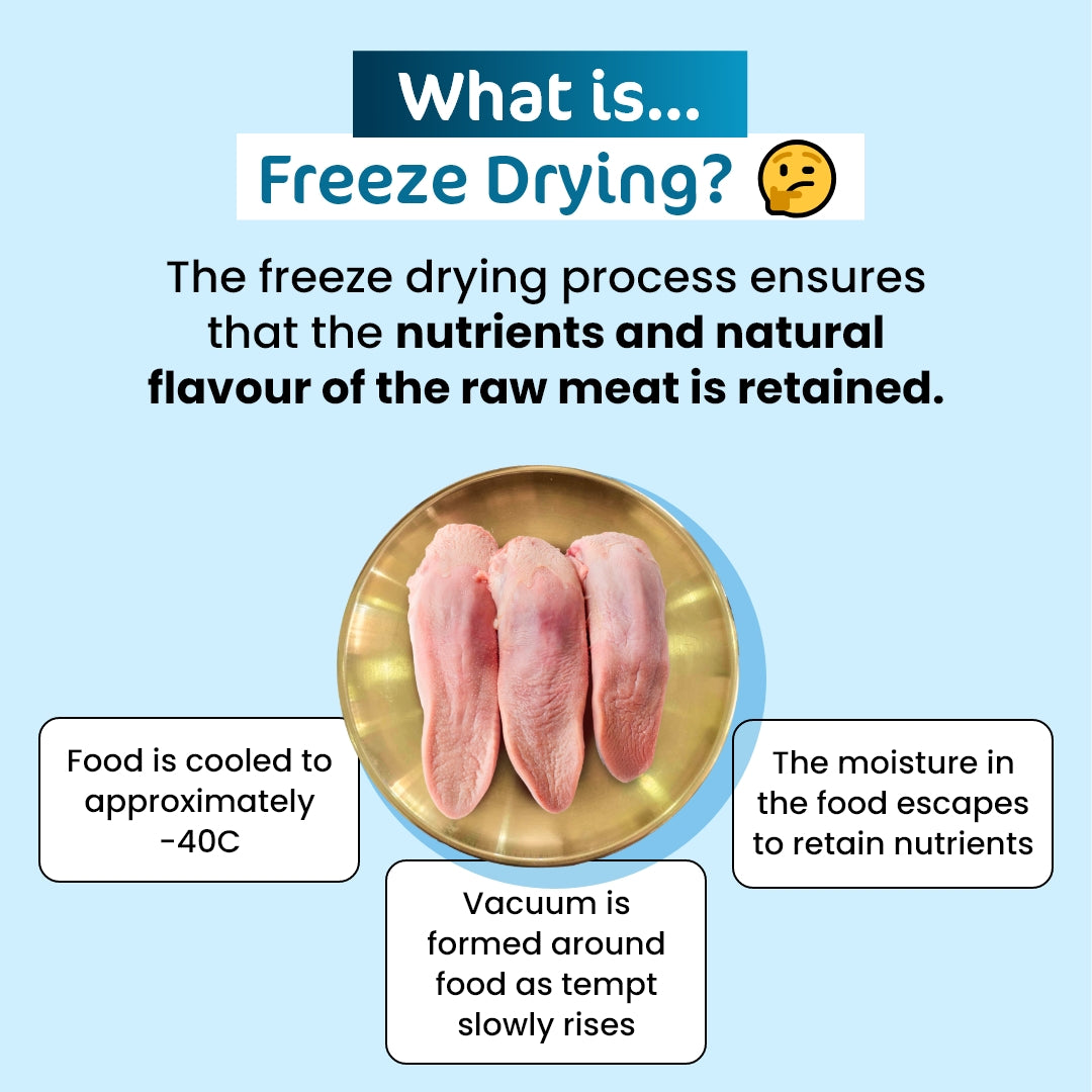 Premium Freeze-Dried Pork Tongue for Cats - 50g