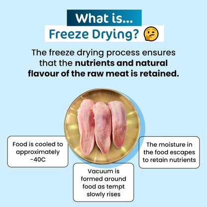 Premium Freeze-Dried Pork Tongue for Cats - 50g