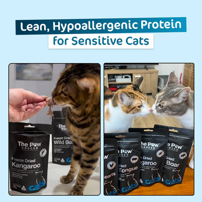 Premium Freeze-Dried Kangaroo for Cats - 50g