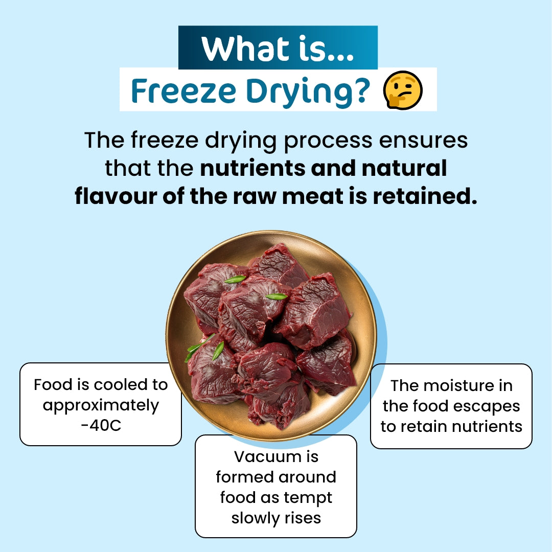 Premium Freeze-Dried Kangaroo for Cats - 50g