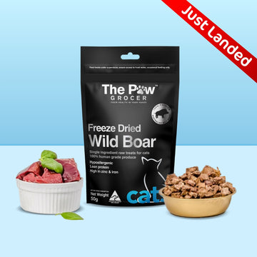 Premium Freeze-Dried Wild Boar for Cats - 50g