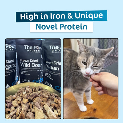 Premium Freeze-Dried Wild Boar for Cats - 50g