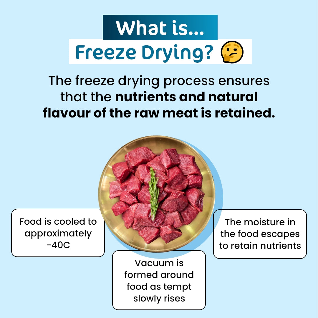 Premium Freeze-Dried Wild Boar for Cats - 50g