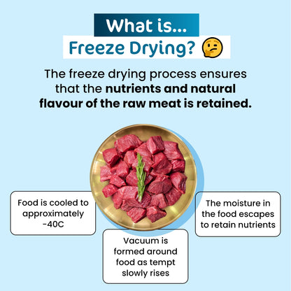 Premium Freeze-Dried Wild Boar for Cats - 50g