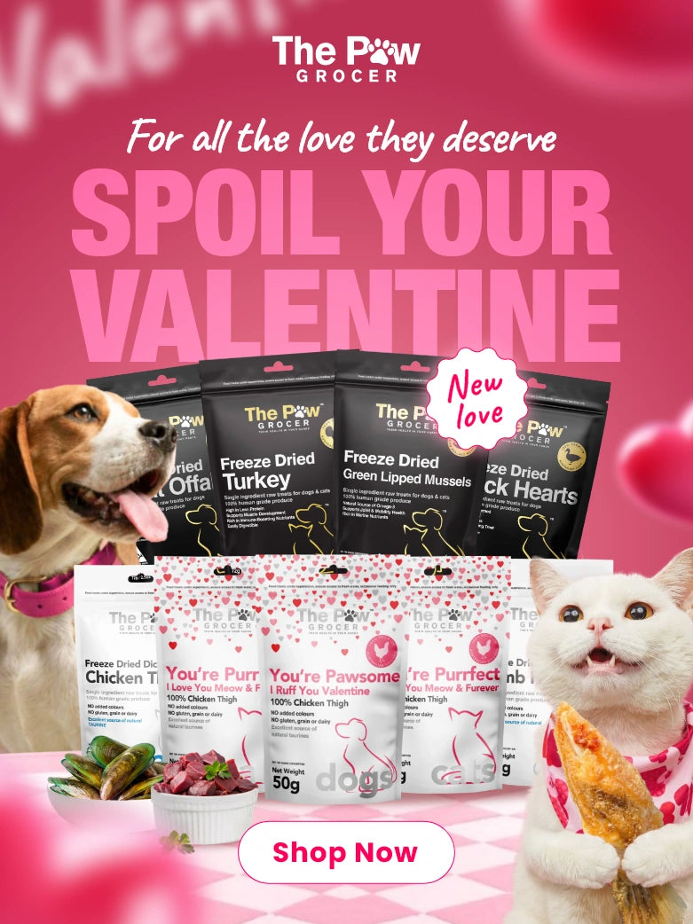 TPG_Valentine_Mobile_Banner