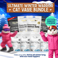 Kitty Winter Warrior Value Bundle