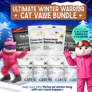 Kitty Winter Warrior Value Bundle