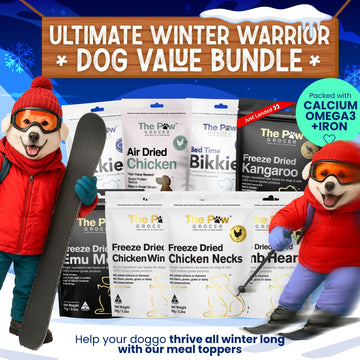 Doggo Winter Warrior Value Bundle