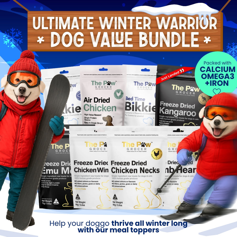Doggo Winter Warrior Value Bundle