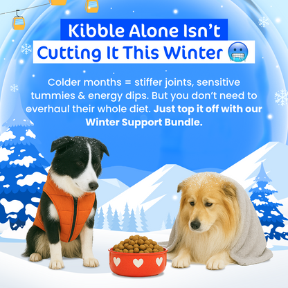 [20% OFF RRP]  Doggo Winter Wonderpaws Value Bundle
