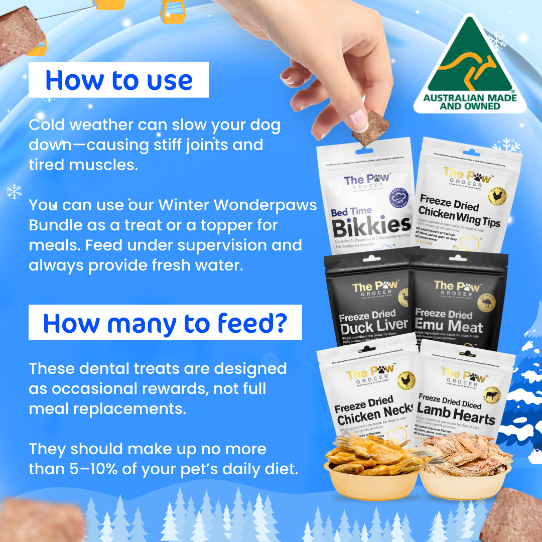 [20% OFF RRP]  Doggo Winter Wonderpaws Value Bundle