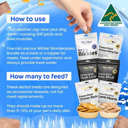 [20% OFF RRP]  Doggo Winter Wonderpaws Value Bundle
