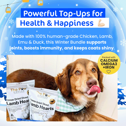 [20% OFF RRP]  Doggo Winter Wonderpaws Value Bundle