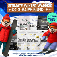 Doggo Winter Warrior Value Bundle
