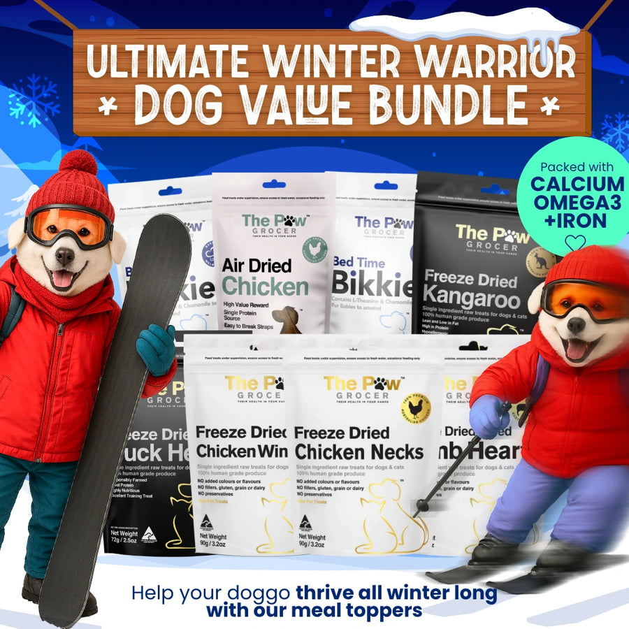 Doggo Winter Warrior Value Bundle