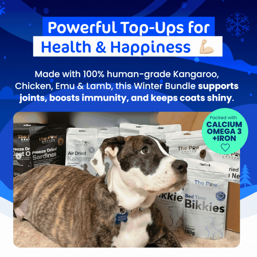 Doggo Winter Warrior Value Bundle