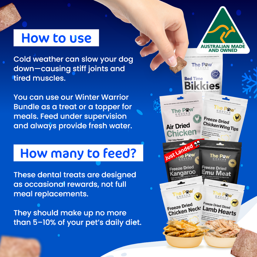 Doggo Winter Warrior Value Bundle