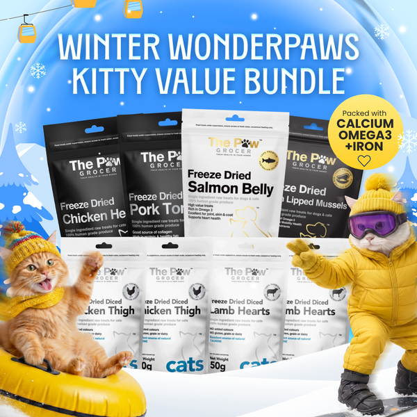 Kitty Winter Wonderpaws Value Bundle